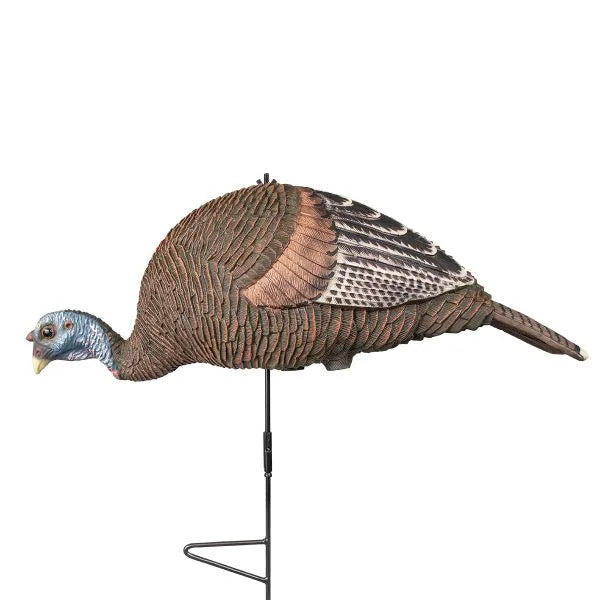 Pretty Girl™ Bugging Hen Decoy