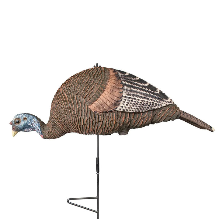 Pretty Girl™ Bugging Hen Decoy