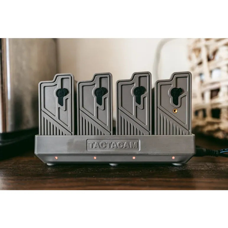Reveal Lithium Multi-Charger