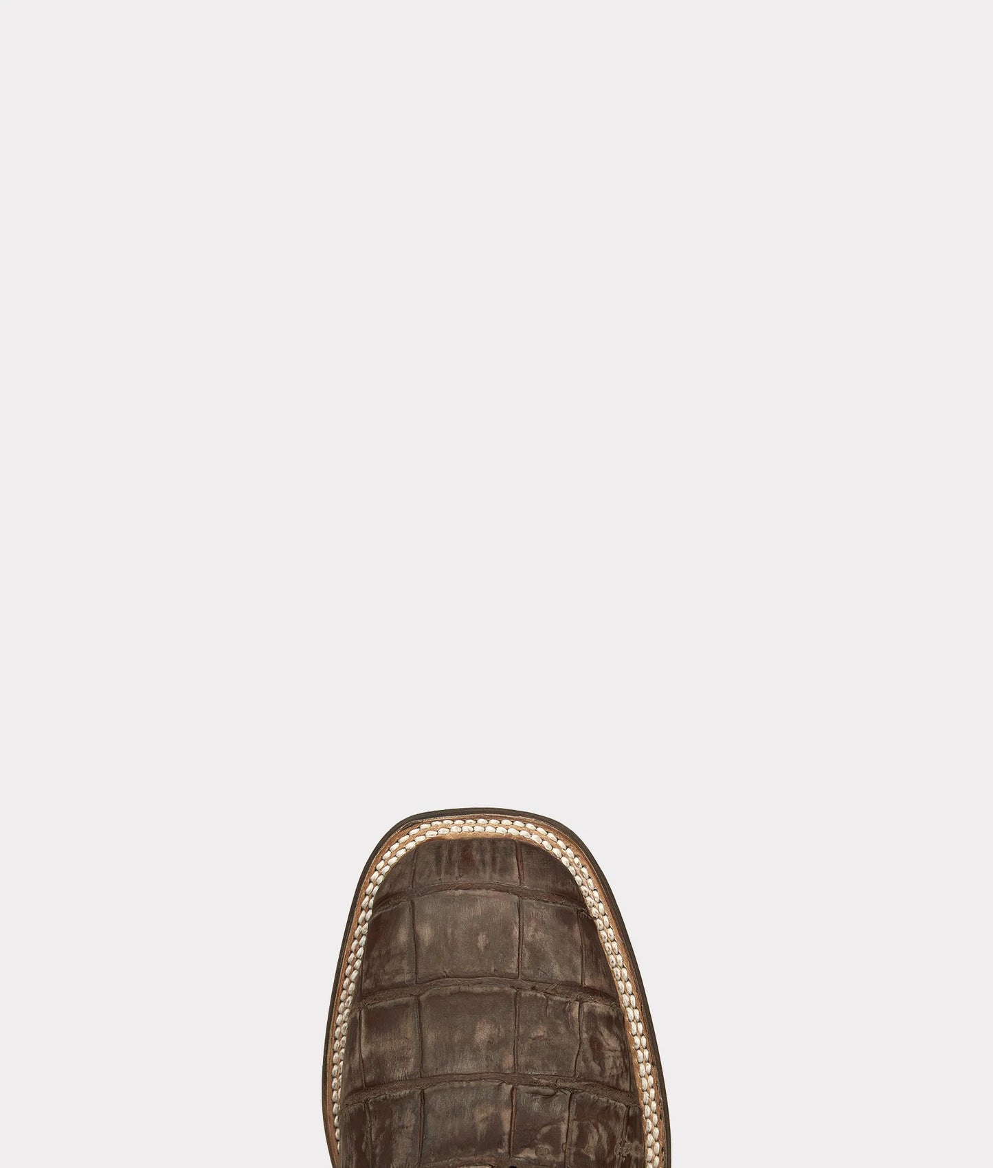 Malcolm :: Navy + Brandy Giant Alligator