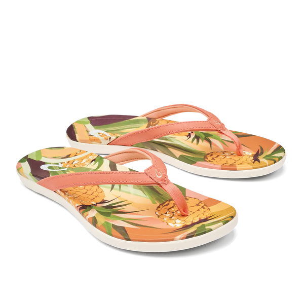 Ho'Opio Hau - Shell Coral/Pineapple