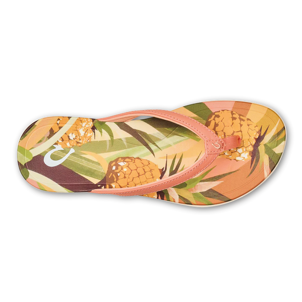Ho'Opio Hau - Shell Coral/Pineapple