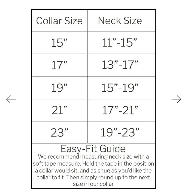 Waterproof Dog Collar - Teal