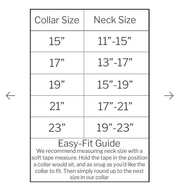 Waterproof Dog Collar - Teal