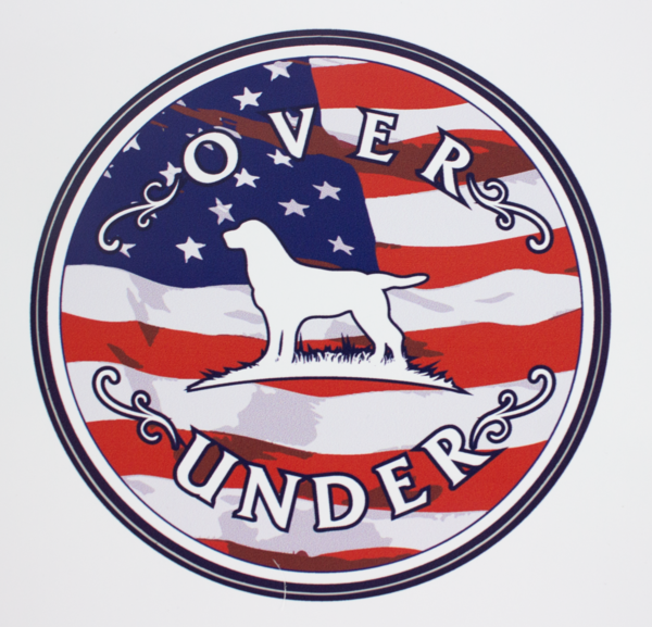 American Flag Logo