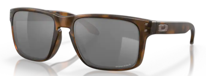 Holbrook Matte Brown Tortoise Prizm Black