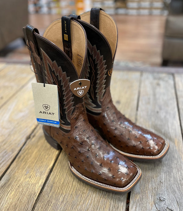 Ariat Quantum Primo Full Quill Ostrich