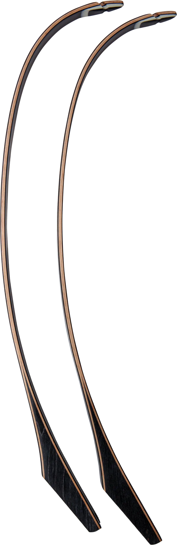 Fred Bear Takedown Recruve Bow Limbs #1